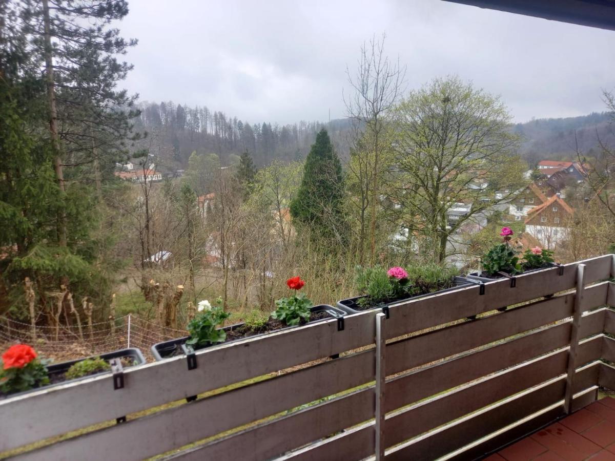 Harzblick Apartment
