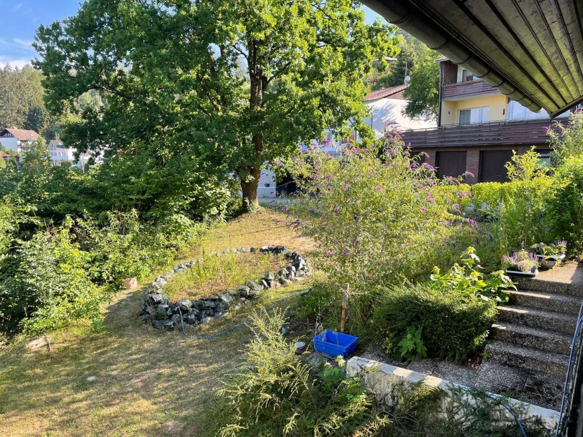 Harzblick Apartment Bad Grund